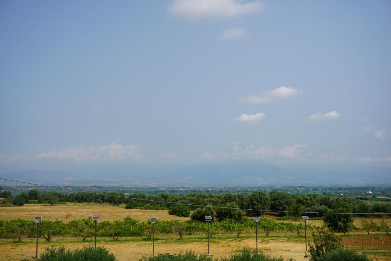Agriturismo Casacchella Марина ди Сибари Екстериор снимка