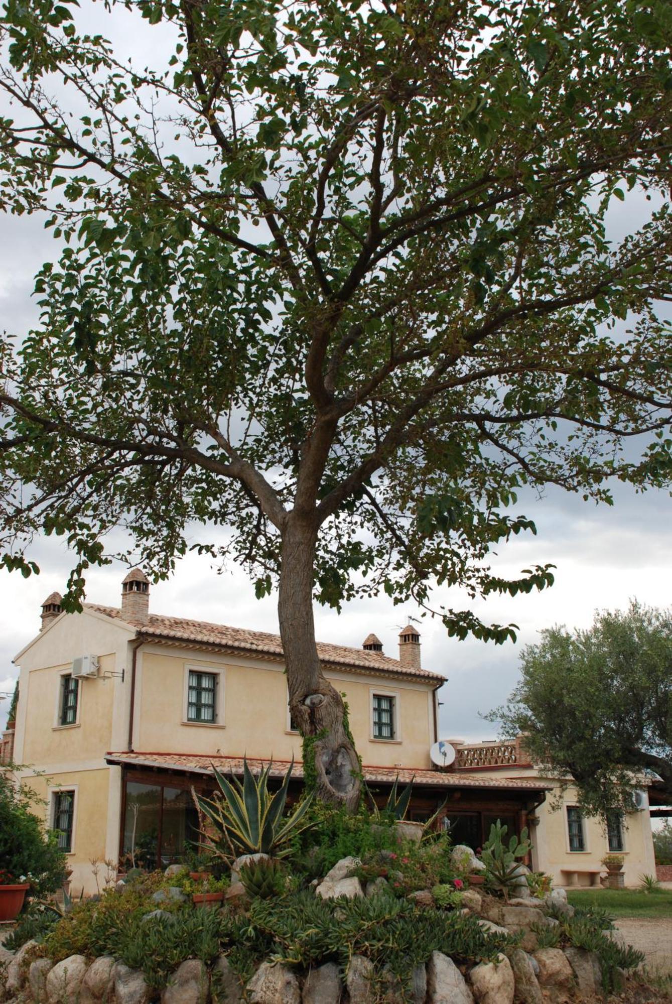 Agriturismo Casacchella Марина ди Сибари Стая снимка